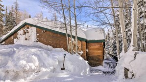 A wooden cabin with a steep roof, surrounded by snow-covered trees. - The Cottages: Ski-in/ski-out Condo at Eagle Point! (Beaver)