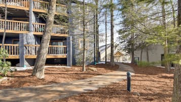 Apartment (1 Bedroom) | Interior