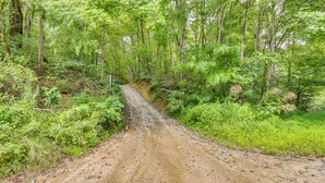 A forested dirt road surrounded by dense green foliage.
