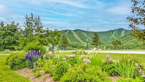 A landscaped garden with various plants and flowers, a pathway, and a view of green hills in the background. - Walk to Lifts & Village! Killington Mountain Condo (Killington)