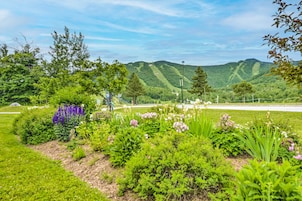 Un jardín ajardinado con diversas plantas y flores, un sendero y vistas a colinas verdes al fondo.