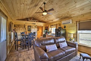 Fireplace, books - 'valley View Cabin' Near Branson & Table Rock Lake (Omaha)