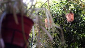 Studio, Smoking | 5 bedrooms