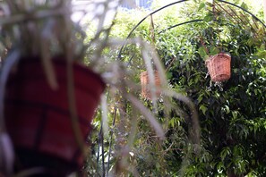 Studio, røyk | 5 soverom