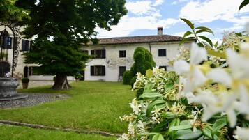 Detalle del exterior