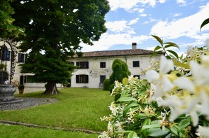 Detalle del exterior