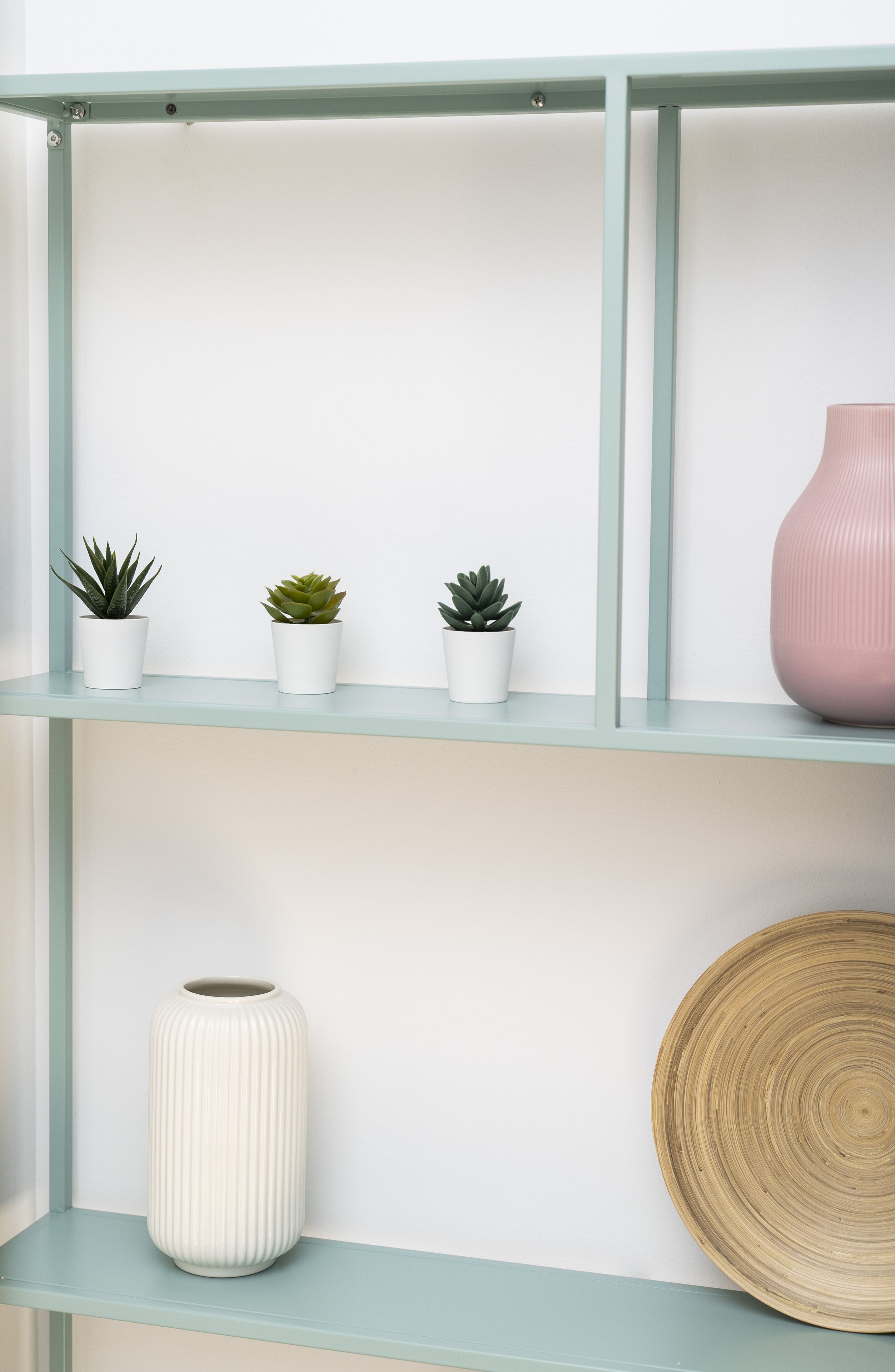 A shelf with three potted plants and a vase.