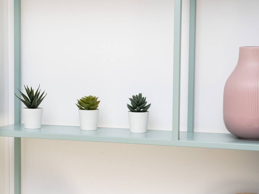 A shelf with three potted plants and a vase.