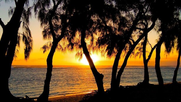 A beach scene with trees silhouetted against a sunset. - Appt "chrisanne" 3 T2 Grande Terrasse à St Gilles (Saint Paul)