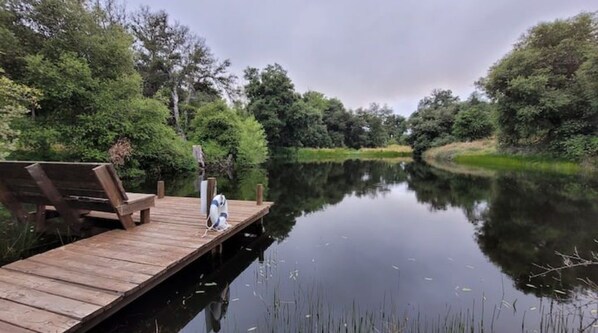 Relax by the serene river with a bench and table on the dock, surrounded by lush greenery.