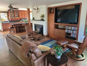 Smart TV, chimenea, reproductor de DVD y libros 
