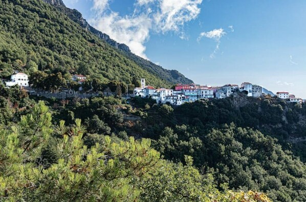 A coastal village with buildings perched on a hillside, surrounded by dense greenery and mountains.