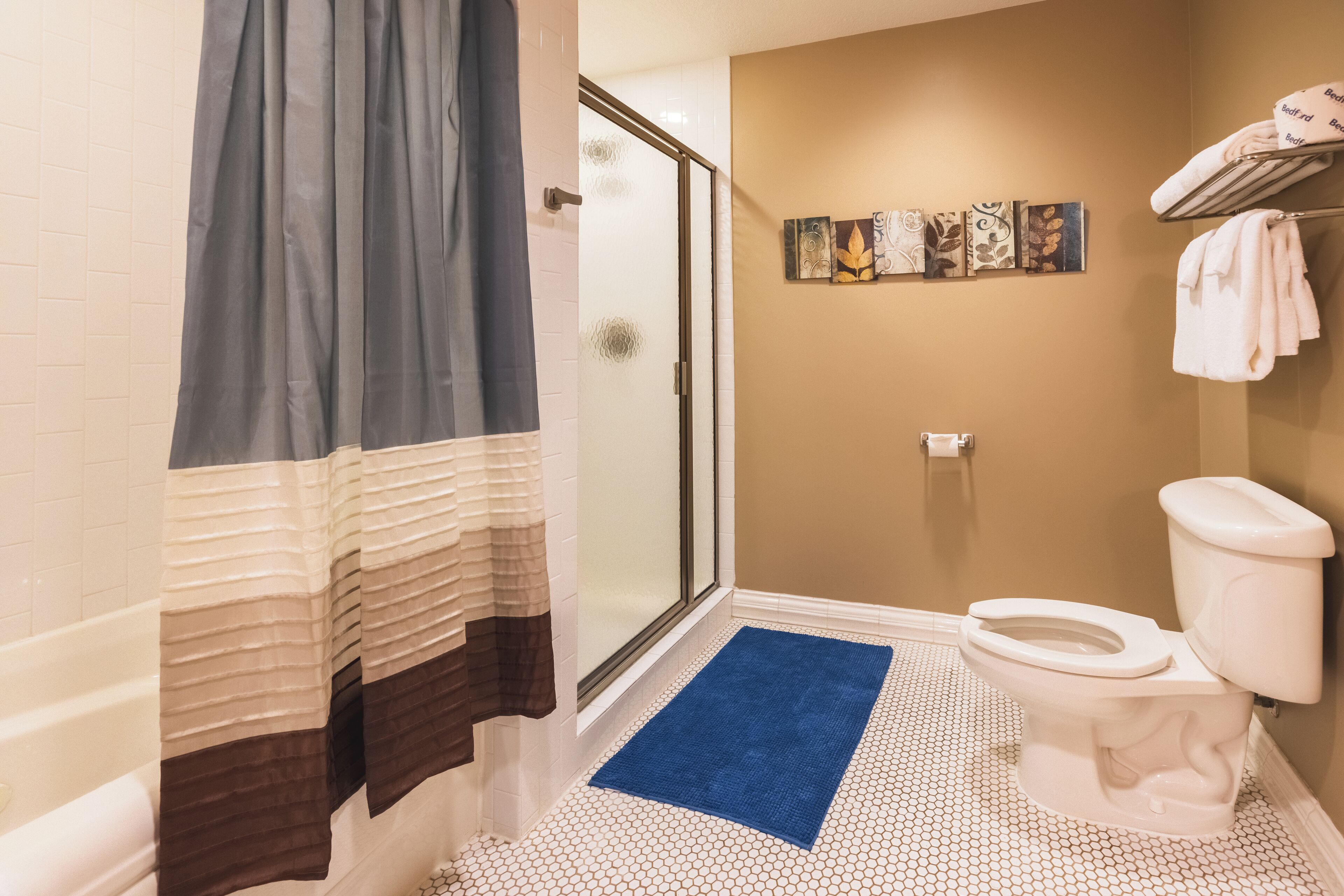 A bathroom with a shower, toilet, and a blue rug.