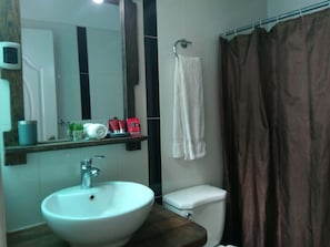 Regadera, toallas, jabón, shampoo