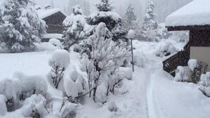 Schneeverdeckte Bäume und ein Gebäude in einer verschneiten Landschaft.