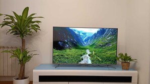 Un téléviseur à écran plat posé sur un meuble blanc, avec deux plantes en pot.