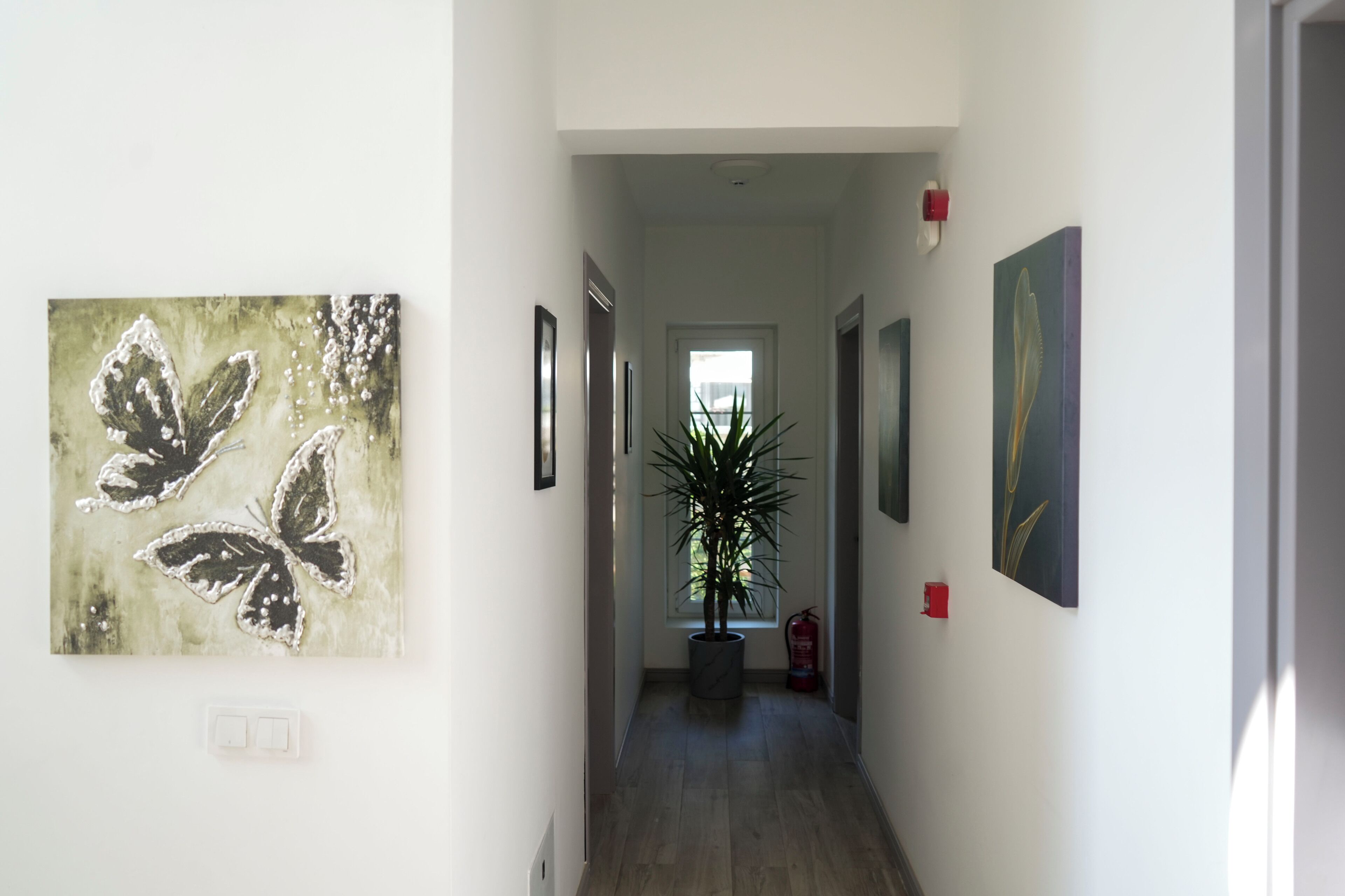 A hallway with artwork on the walls, a potted plant, and a fire extinguisher.