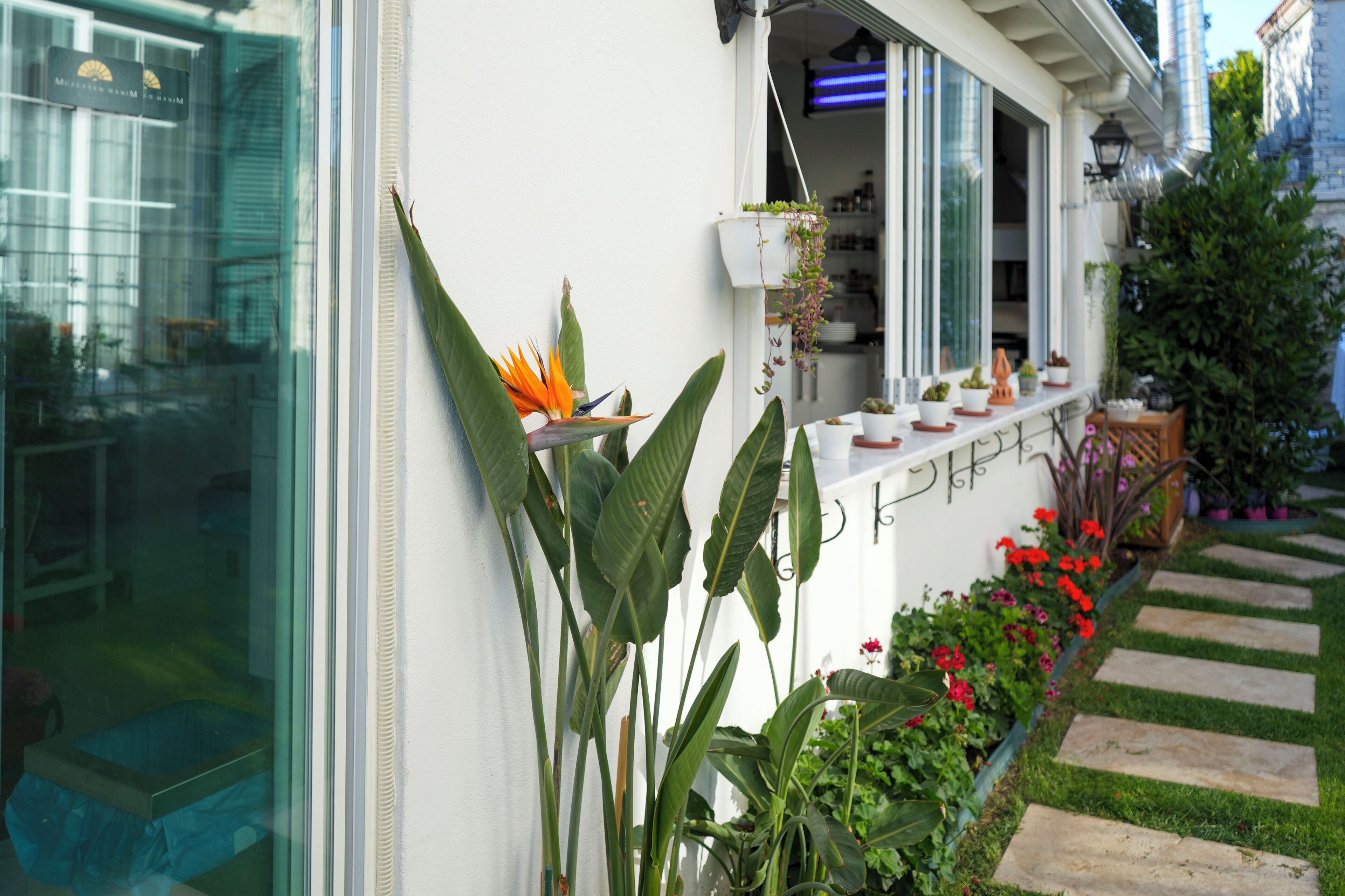 A modern building with a white exterior, a small garden with various plants and flowers, and a stone pathway leading to the entrance.