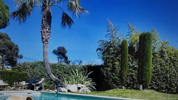 Una piscina con una mesa flotante, palmeras y un cielo azul despejado.