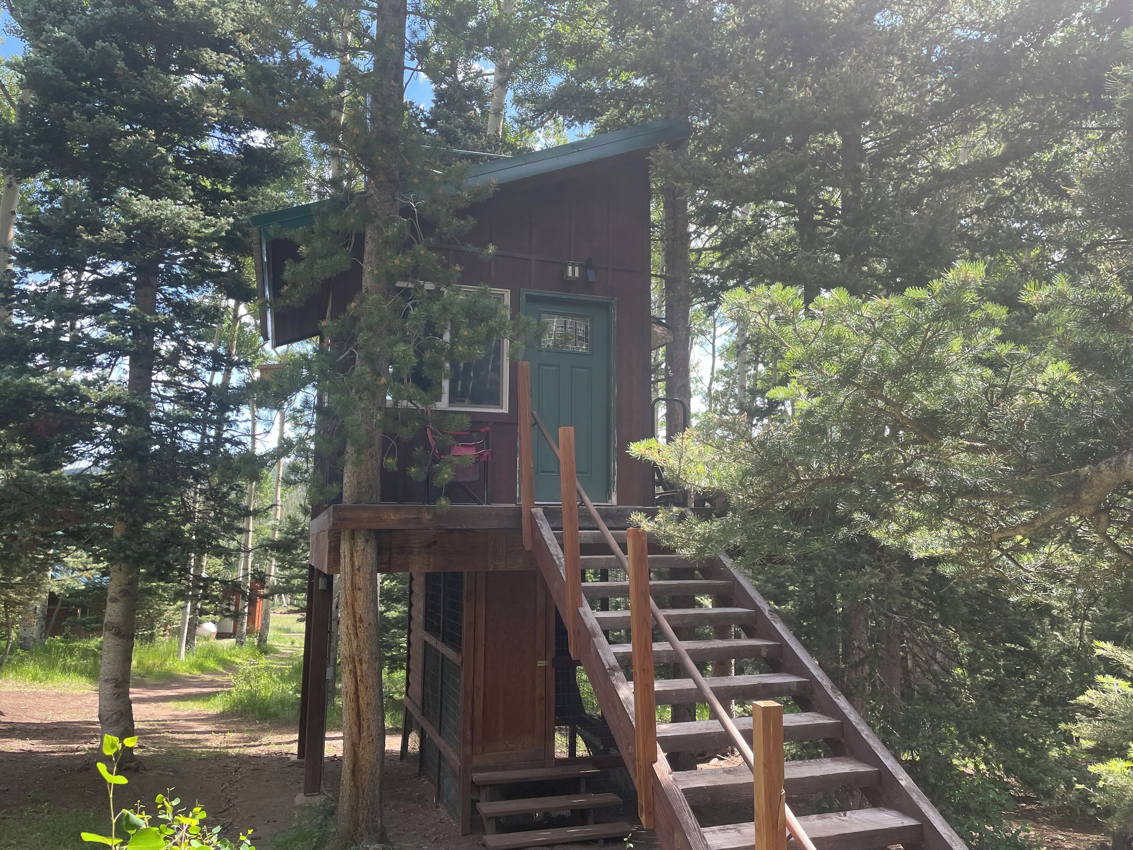 Bayly's Treehouse Retreat