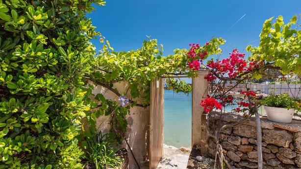 Un mur de pierre mène à une porte en bois, avec une végétation luxuriante et des fleurs rouges sur le côté droit.