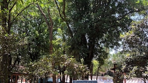 庭園
