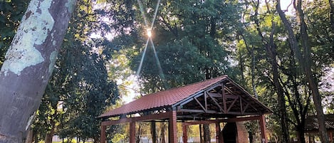 BBQ/picnic area