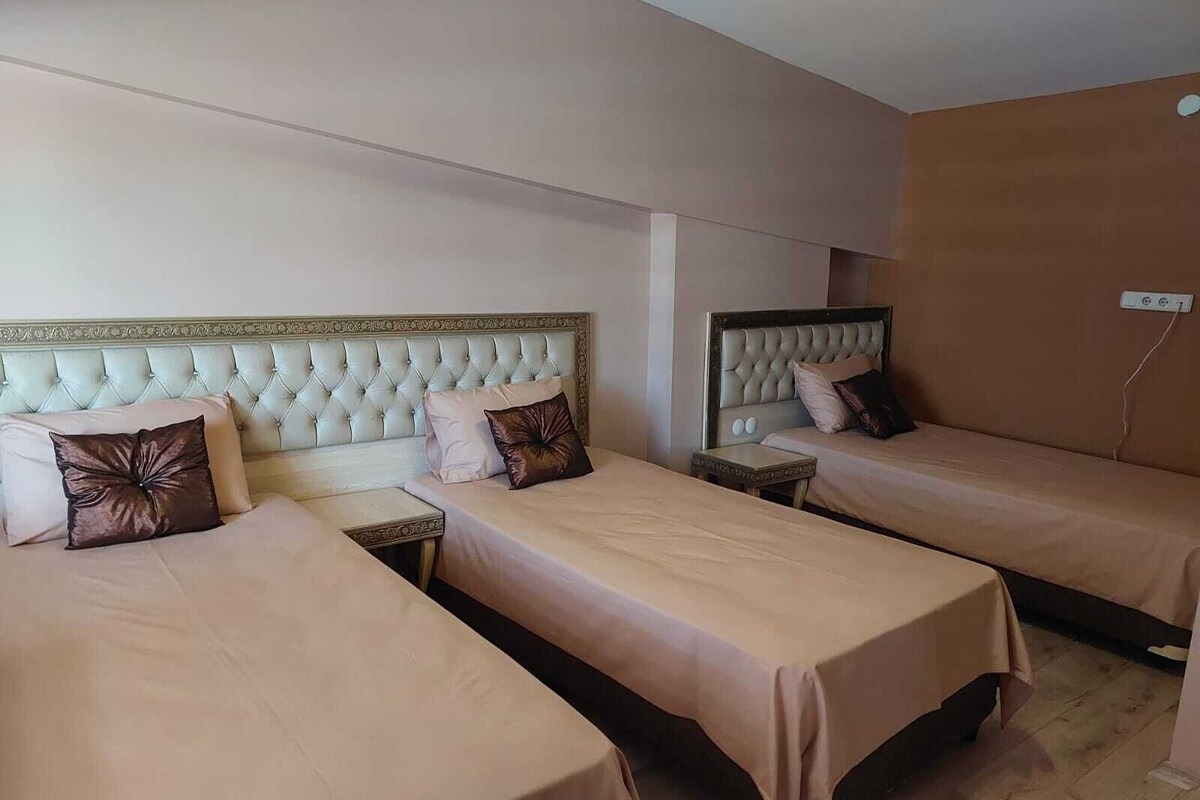 Premium bedding, desk, iron/ironing board (on request), WiFi (free)