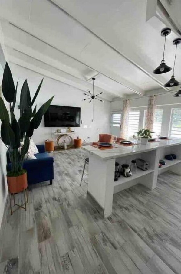 A modern kitchen with a white island, a blue sofa, and a large potted plant. - Paradise Exquisite Townhouse (Christiansted)