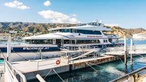 A large yacht docked at a marina with a mountainous backdrop. - Trendy Getaway | Hot Tub | 20 mins to Disney (Long Beach)