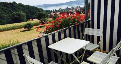 Vacation apartments Brombachsee - Deluxe Apartment 6