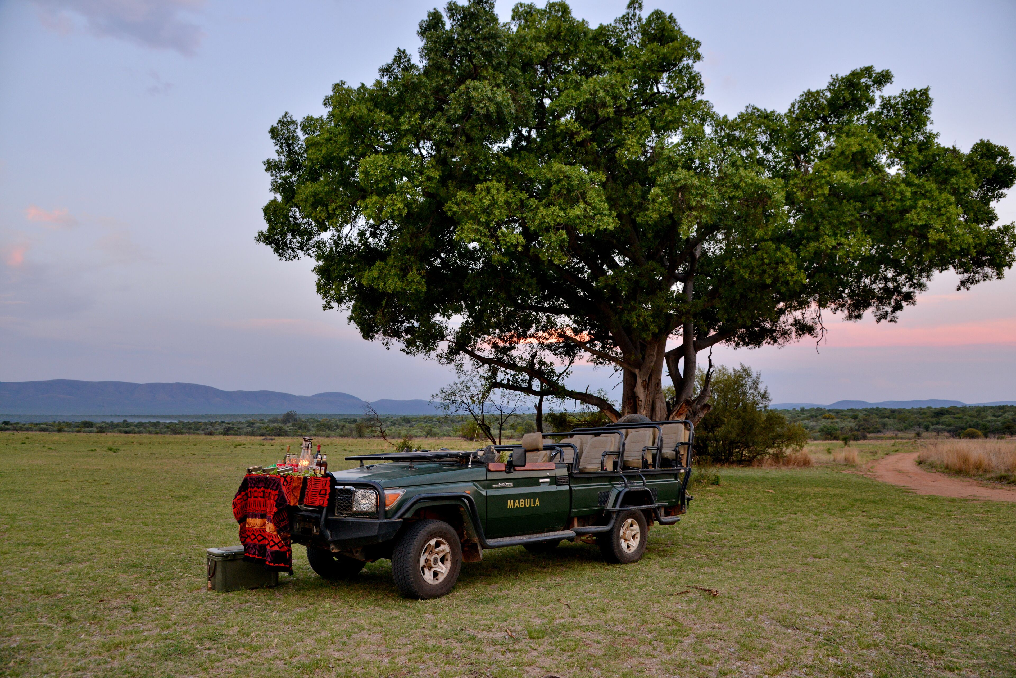 A green safari vehicle with a table and chairs set up under a large tree in a grassy field.