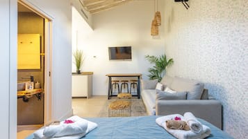 Studio | 1 chambre, lits bébé (en supplément), Wi-Fi gratuit, draps fournis