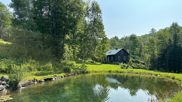 A house by a clear pond surrounded by lush greenery. - Rural Vermont with internet and Smart TV, cell phone works,  Dogs welcome. (Washington)
