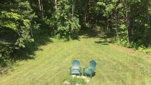 A view of a forested area with a small clearing. - Rural Vermont with internet and Smart TV, cell phone works,  Dogs welcome. (Washington)