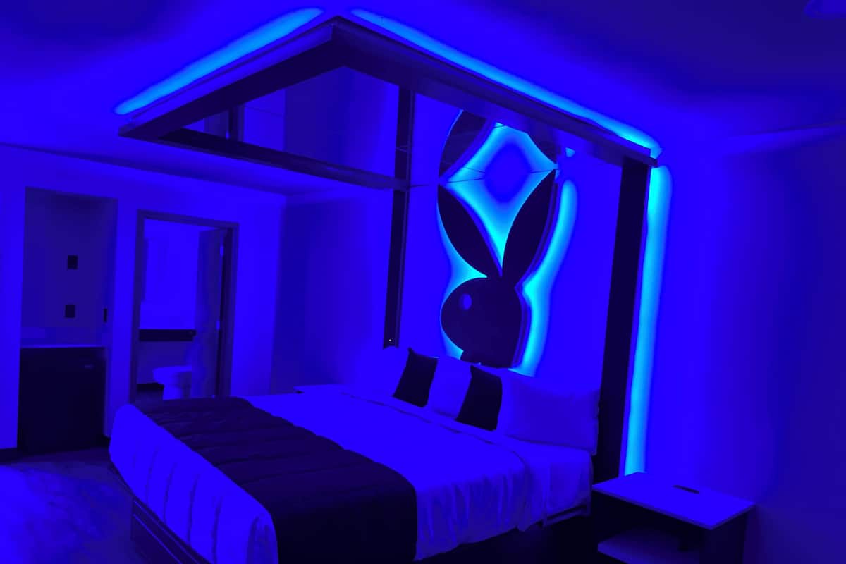 Une chambre à coucher moderne avec un lit à baldaquin, une grande œuvre d’art accrochée au mur et une petite table de chevet.