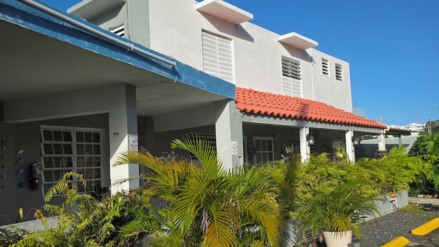 Playa palomino