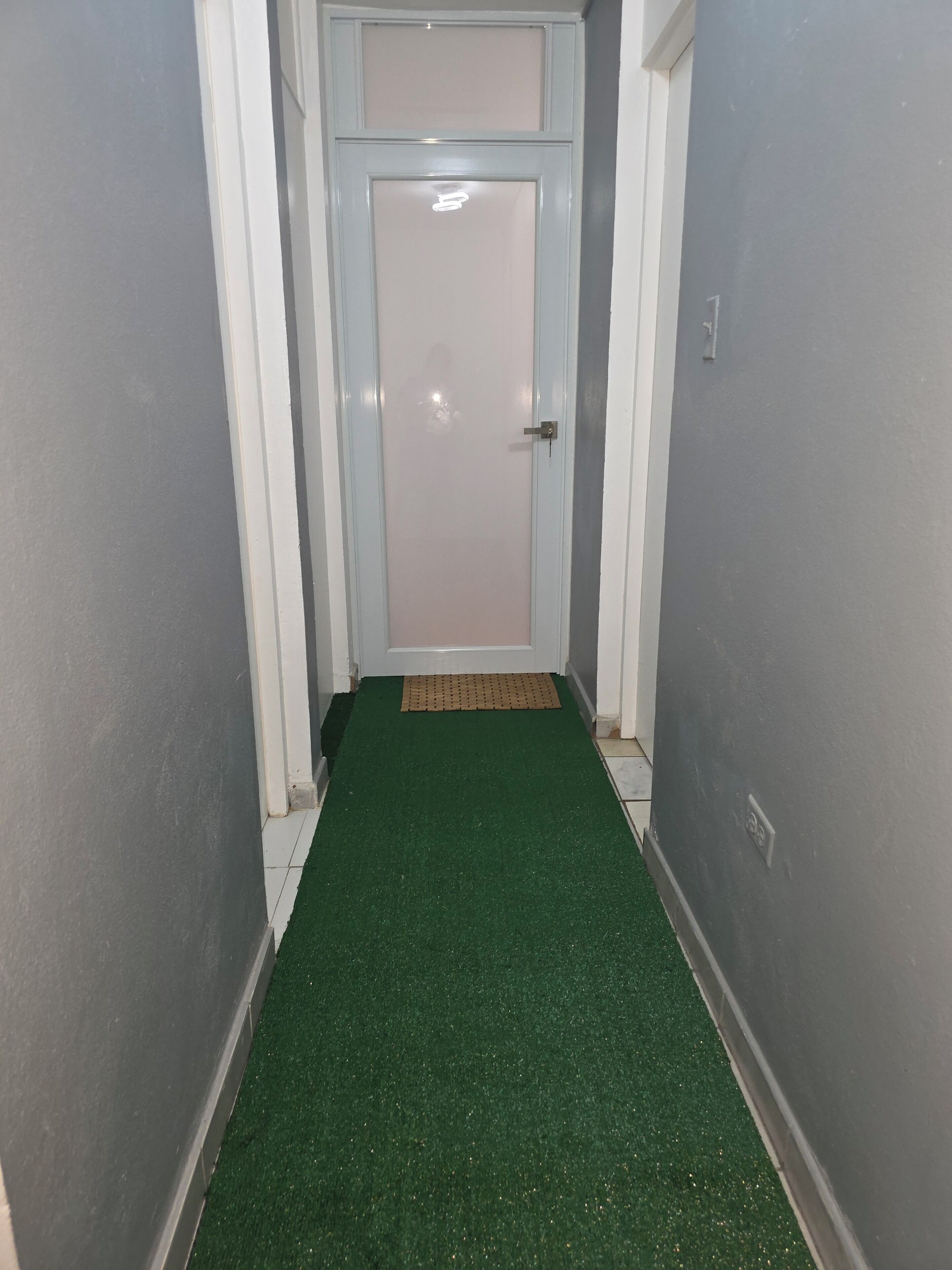 A narrow hallway with a green carpet leading to a white door with a frosted glass panel.