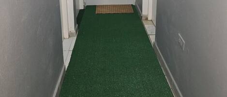 A narrow hallway with a green carpet leading to a white door with a frosted glass panel.