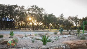 Un jardin désertique agrémenté de cactus et de plantes d’agave, entouré de grands rochers et d’arbres.