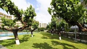 A row of trees with white-painted trunks lining a pathway. - ADRIAN Apartment (La Pineda)