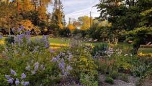 A garden with various plants and flowers, a lawn, and a bench. - Chambre D'hôtes - Jack Nicklaus (AIX EN ISSART)