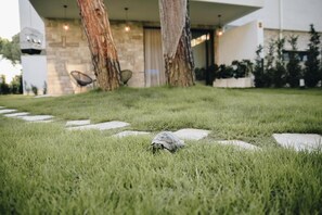 Villa, 2 Bedrooms, Balcony, Garden View | Property grounds