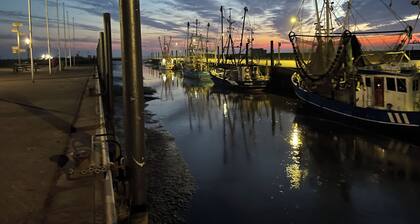 Cozy vacation apartment with dike view in Wremen