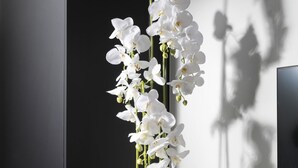Un intérieur moderne agrémenté d’une orchidée en pot, d’une bouteille de vin et de verres disposés sur un plateau.