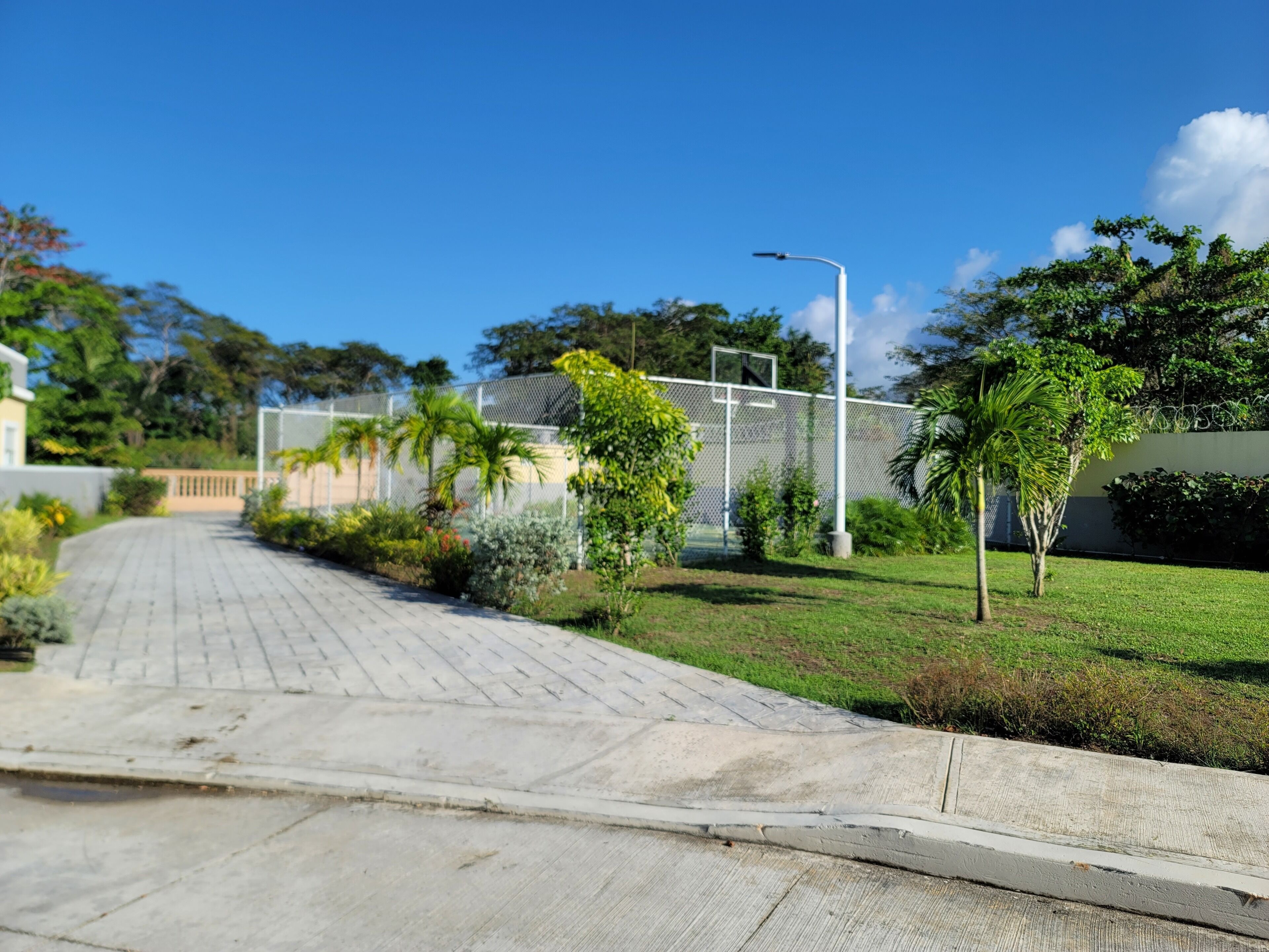 A paved pathway leading to a building with a fence and greenery.