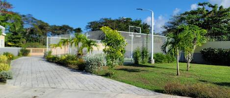 A paved pathway leading to a building with a fence and greenery.