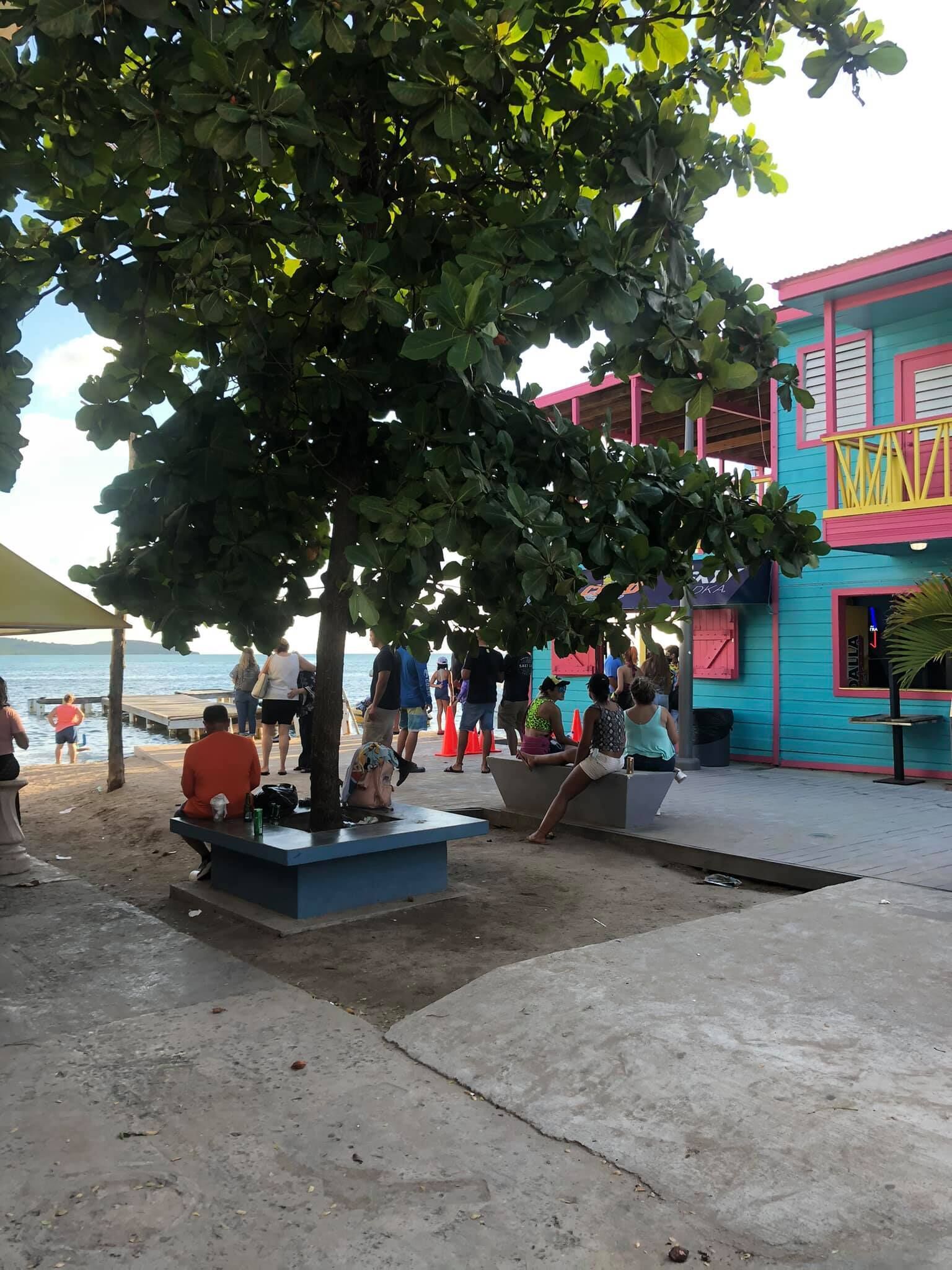 Une zone située au bord de la plage, avec un arbre, des personnes assises sur des bancs et un bâtiment coloré doté de balcons.