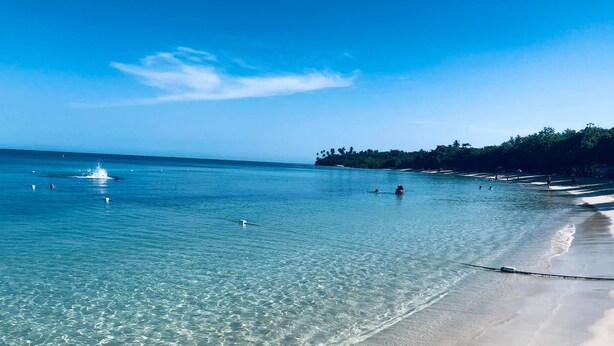 A beach with clear water, a sandy shore, and a line of trees in the background.