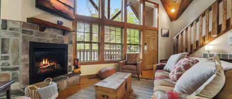 TV connectée, cheminée, jeux vidéo, lecteur de DVD